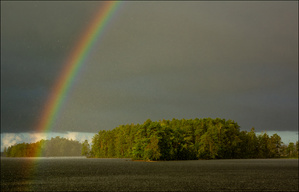 Regen in der schönsten Form