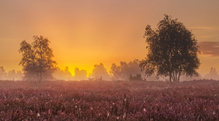 Morgenrot