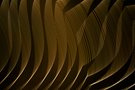 ______lines______
