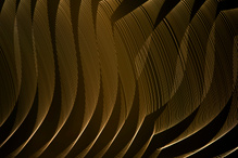 ______lines______