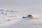 Sandsturm an der Bretagne Küste