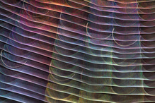 ____colours________