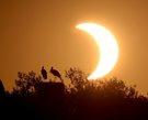 Sonnenfinsternis