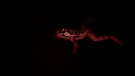 Aus der Sicht der Viper