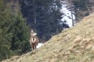 Aprilwetter