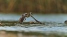 Abflug