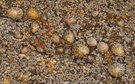 Felsen-Details