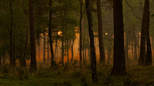Sonnenaufgang in der 'Üfter Mark'