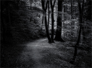 Lichteinfall ...