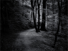 Lichteinfall ...