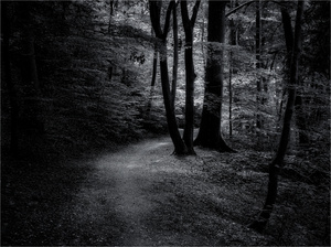 Lichteinfall ...
