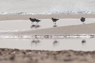 Strandbesucher