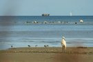 Ostseestrand