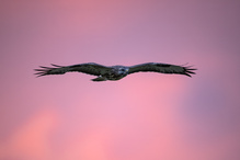 Der Himmel "glüht"