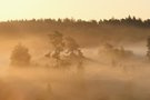 Anflug von Herbst