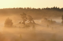Anflug von Herbst