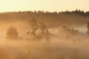 Anflug von Herbst
