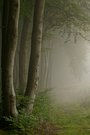 Naturpark Hohe Mark
