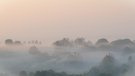 Wenn die Sonne den Nebel durchdringen will.....