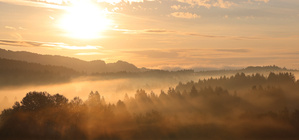 ein toller Morgen