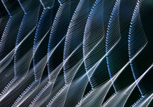 Natur-Design