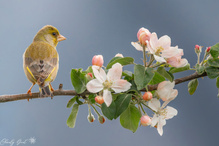 Ein Hauch von Frühling