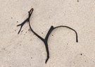 Strandkunst