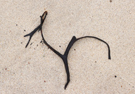 Strandkunst