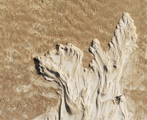 ... der Strand-Terrier ...