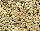 Fossilien oder Sand?