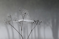 Herbststimmung