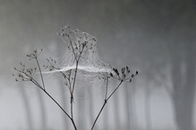 Herbststimmung