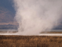 Im Ngorongoro Krater