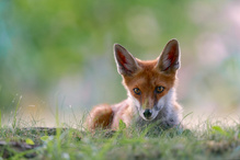 im Blick …