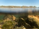 ~ Rhein ~