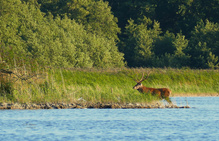 Rückblick