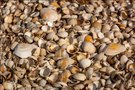 Der etwas andere Strandabschnitt
