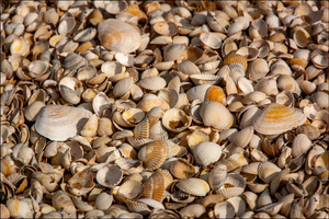 Der etwas andere Strandabschnitt