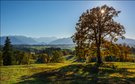 Herbstbeginn