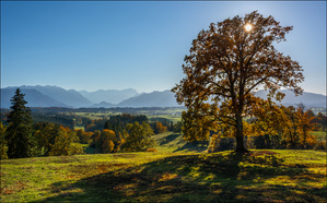 Herbstbeginn