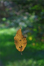 Herbstliche Begegnung