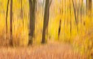Herbstwischer