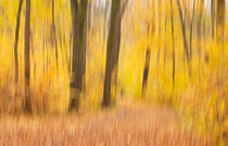 Herbstwischer