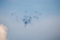 der Geistervogel