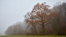 Herbstfarben
