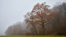 Herbstfarben