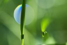 Blick, wie eine andere Welt
