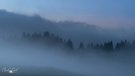 Alpine Nebelstimmung