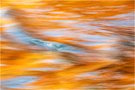 Isar-Herbst