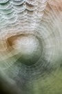 Spinnennetz mal anders (Altglas)